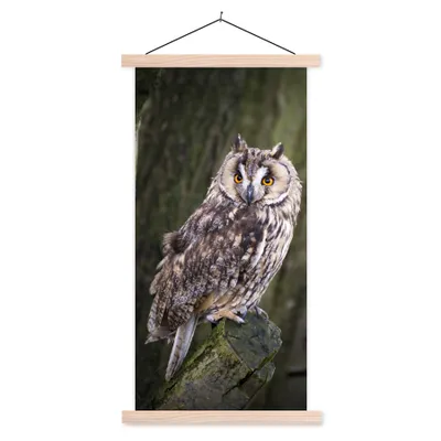 Produktbild von MuchoWow® Textilposter Eule - Nahaufnahme - Baum 60x120 cm mit holzfarbenen Rahmen - Holz