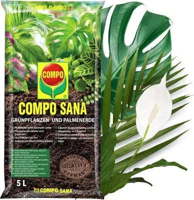 Image de Terre pour Plantes Vertes - Monstera 5L - Écologique - Riche en Nutriments - Idéal pour Palmiers