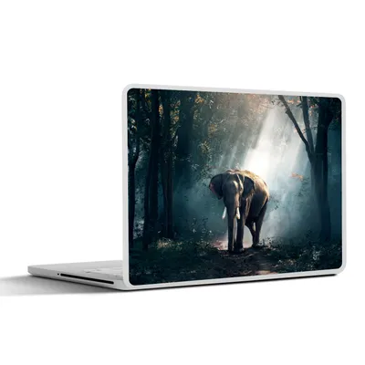 Produktbild von MuchoWow® Laptop Aufkleber Sticker Cover Elefant - Tiere - Licht - Wald - Natur - Wildtiere 30x22 cm - Laptop-Sticker