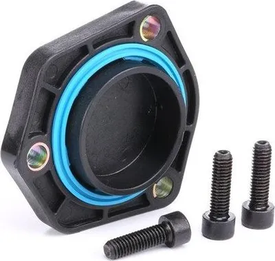 Produktbild von VAICO Ölwannendichtung Kunststoff für VW Golf IV Schrägheck (1J1) V10-2638