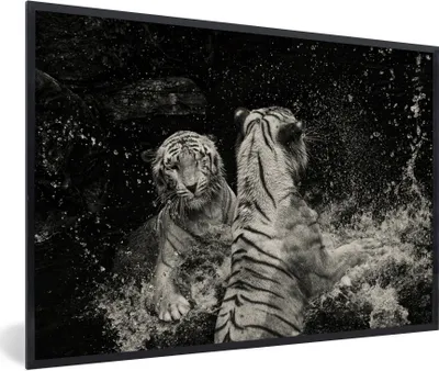 Produktbild von MuchoWow® Gerahmtes Poster Tiger - Wasser - Wild 90x60 cm - Poster mit Schwarzem Bilderrahmen Wandposter Rahmen Foto Bilder - Fotorahmen - Foto-Plakat