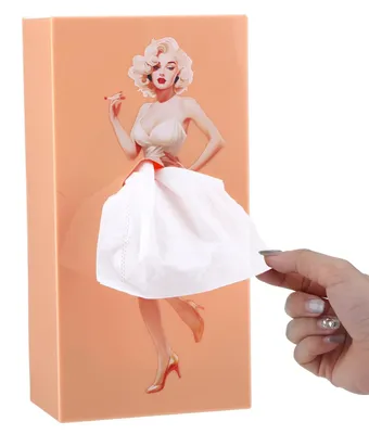 Imagen del producto de Caja de pañuelos retro con diseño creativo