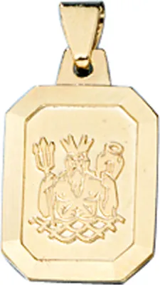 Produktbild von Sternzeichen Wassermann - Anhänger aus 333 Gold Gelbgold Halsschmuck Uni