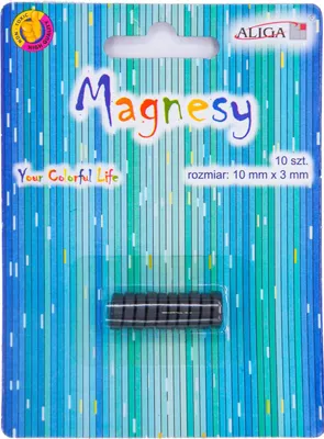 Obrázok produktu pre Feritové magnety - 10mmx3mm - 10ks