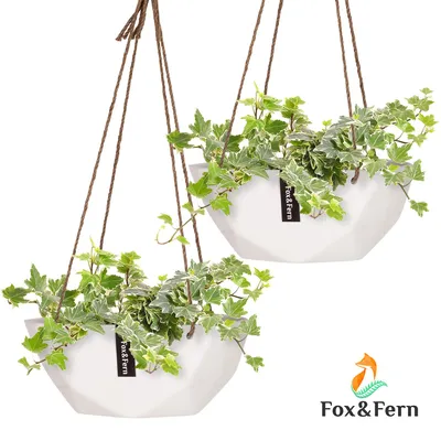 Image de Fox & Fern Pot de fleurs pour pot de fleurs, Pot de fleurs léger pour l'intérieur, Lot de 2 pots de fleurs suspendus, Pot suspendu moderne pour plantes, Pot suspendu géométrique pour salon, mur & fenêtre, 12 cm