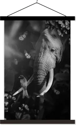Produktbild von MuchoWow® Textilposter Porträt eines Elefanten und eines Vogels im Dschungel - schwarz und weiß 60x90 cm mit schwarzem Rahmen - Poster Wohnzimmer