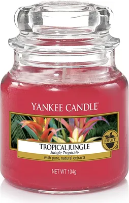 Obrázek produktu pro Yankee Candle Tropical Jungle, Kulatý, Červená, Tropický, 1 kusů