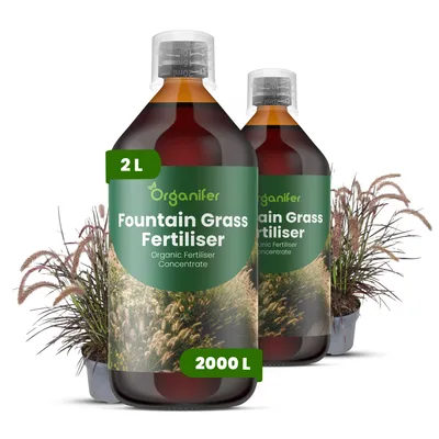 Zdjęcie produktu dla Brunnengras, płynny nawóz 2x1 litr – nawóz NPK 2-1-8 – przeznaczony do traw ozdobnych – wspomaga silny wzrost i witalność – produkt organiczny