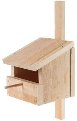 Image de Nichoir Kit de construction en bois 12 J.