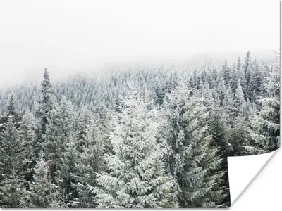 Produktbild von MuchoWow® Poster Wald - Schnee - Winter - Jahreszeiten - Tannenbaum 160x120 cm - Foto Plakat