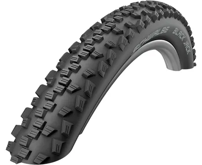 Image de Schwalbe Black Jack 16x1.90 (47-305) HS407 Active K-Guard - fil, noir