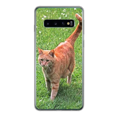 Produktbild von MuchoWow® Handyhülle Schutzhülle Hülle für Samsung Galaxy S10 Katze - Rot - Katze - Mädchen - Kinder - Jungen - Kind Silikon Softcase Handy Hülle - Handytasche