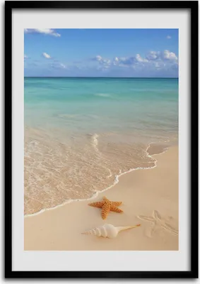 Produktbild von Bild - Bilderrahmen - 50 cm x 70 cm - MDF - Rahmen - Wandkunst Seestern am Strand