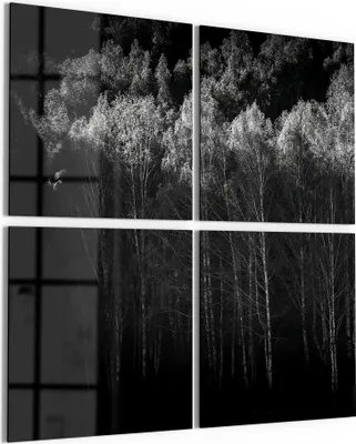 Produktbild von DEQORI Glasbild Echtglas 4x50x50 cm 'Stille des Waldes' Wandbilder XXL groß