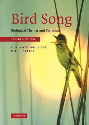 Produktbild von Bird Song