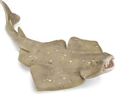 Immagine prodotto di COLLECTA Poloreynok alato