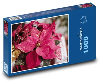 Obrázok produktu pre Puzzle 1000 Magická vianočná hviezda - martinpuzzle