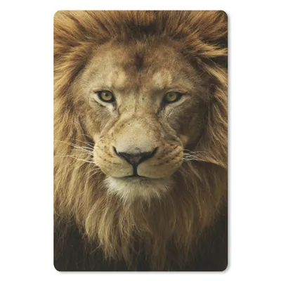 Produktbild von MuchoWow® Mauspad Mousepad Afrikanischer Löwe Porträt 18x27 cm - Mousepads - Maus Mat - Pad - Mausunterlage