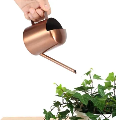 Immagine prodotto di piccolo annaffiatoio in acciaio inox da 300 ml con beccuccio lungo - ideale per fiori e uso domestico