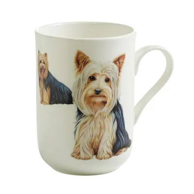 Obrázek produktu pro Maxwell PB0706, Samostarný, 0,3 l, Vícebarevný, Porcelán, 1 kusů