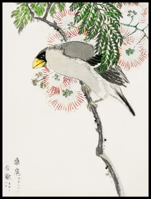 Zdjęcie produktu dla Plakat 60x80cm Masked Hawfinch, Kashu Japoński Vintage do Salonu