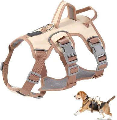 Imagen del producto de Arnés para perros ajustable, transpirable, con dos puntos de sujeción, disponible en tallas S, M y L, para perros de pequeño a grande
