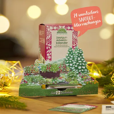 Produktbild von Saatgut-Adventskalender "Winterlandschaft