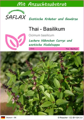 Produktbild von SAFLAX - Kräuter - Thai - Basilikum - 200 Samen - Mit keimfreiem Anzuchtsubstrat - Ocimum basilicum
