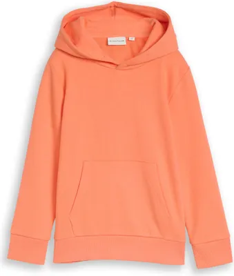 Produktbild von Hoodie Sweatshirt mit Rückenprint