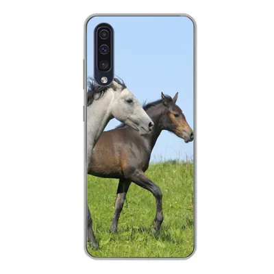 Produktbild von MuchoWow® Handyhülle Schutzhülle Hülle für Samsung Galaxy A50 Pferde - Tiere - Gras Silikon Softcase Handy Hülle - Mobiltelefonhülle