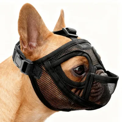 Produktbild von Maulkorb für Hunde mit kurzer Schnauze, atmungsaktiv, Giftköderschutz, Größe M