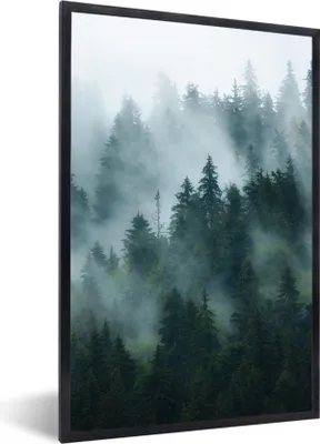 Produktbild von MuchoWow® Gerahmtes Poster Nebel - Bäume - Wald 60x90 cm - Poster mit Schwarzem Bilderrahmen Wandposter Rahmen Foto Bilder - Kunst