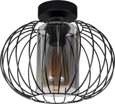Produktbild von Deckenlampe Metall E27 rund D: 25 cm Schwarz Retro