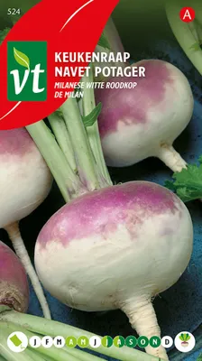 Obrázok produktu pre Kuchyňa Repa milánska biela červenohlavá Semená - cca 6 gr | VT_524