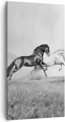 Produktbild von Bild auf Leinwand - Leinwandbild - Pferde Tiere Galopp Wiese - 55x100cm - Wand Bild - Wanddeko - Leinwanddruck - Bilder - Kunstdruck - Wanddekoration - Leinwand bilder - Wandkunst - PA55x100-2683