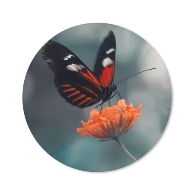 Produktbild von MuchoWow® Mauspad Mousepad Schmetterling - Blume - Insekt 20x20 cm - Mousepads - Maus Mat - Pad - Mausunterlage - Schreibtischmatte