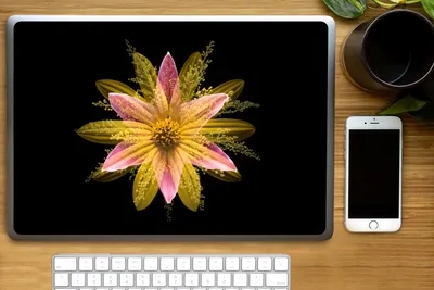 Produktbild von MuchoWow® Laptop Aufkleber Sticker Cover Eine gelbe Blume auf schwarzem Hintergrund 40x30 cm - Laptop Dekoration - Selbstklebend