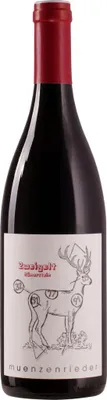 Produktbild von Zweigelt Neusiedlersee DAC Reserve Römerstein Münzenrieder Rotwein trocken