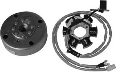 Produktbild von Lichtmaschine passend für Piaggio, passend für Gilera 12V / 90W