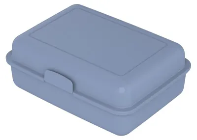 Productafbeelding van Lunchbox "School-Box" groot - Duurzame lunchbox van suikerriet - Brotdoos ideaal voor kinderen en volwassenen - korenbloem