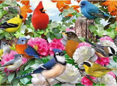 Immagine prodotto di Ravensburger 12000147, 500 pezzi, Flora e Fauna, 9 anni