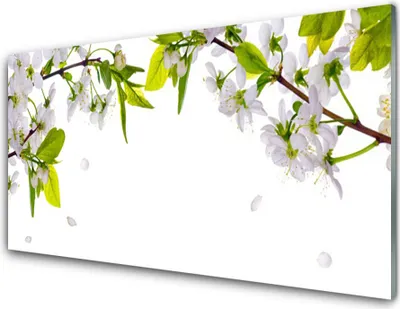Produktbild von Acrylglasbilder 100x50 Wandbild Druck Blumen Blätter Natur