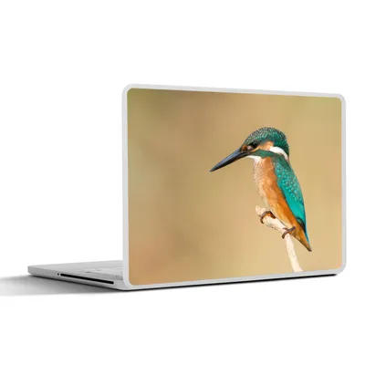 Produktbild von MuchoWow® Laptop Aufkleber Sticker Cover Eisvogel - Tiere - Vogel 25x18 cm - Laptop-Deko