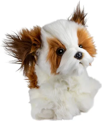 Immagine prodotto di Carl Dick Shih Tzu cane leone seduto circa 25 cm peluche, peluche, peluche 3782