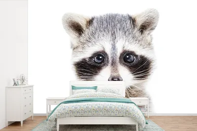 Produktbild von MuchoWow® Fototapete für Wohnzimmer oder Schlafzimmer Wandtapete Vinyl Motivtapete Waschbär - Tiere - Natur - Weiß - 600x400 cm - Vinyltapeten
