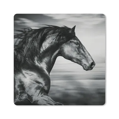 Produktbild von MuchoWow® Mauspad Mousepad Pferd - Tiere - Schwarz - Weiß 20x20 cm - Mousepads - Maus Mat - Pad - Mausunterlage - Desk Mat - Bureauartikeln