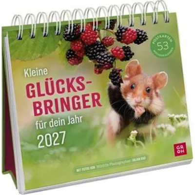 Immagine prodotto di Calendario a cartoline 2027: piccoli portafortuna per il tuo anno