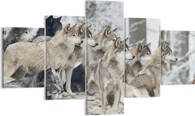 Produktbild von Bild auf Leinwand - Leinwandbild - 5 Teile - Rudel Wölfe Winter - 125x70cm - Wand Bild - Wanddeko - Wandbilder - Leinwanddruck - Bilder - Wanddekoration - Leinwand bilder - Wandbild - EA125x70-4357