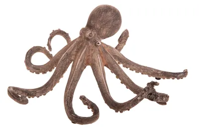 Immagine prodotto di Statuetta Polpo Resina Decorativa 24 cm