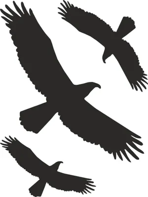 Produktbild von Hermann Schütz Aufkleber Kontur Vogel-Sortiment 3teilig 3 Motive